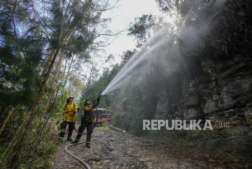 Petugas berupaya memadamkan kebakaran hutan di El Cable Hill di Bogota, Colombia, 25 Januari 2024. 