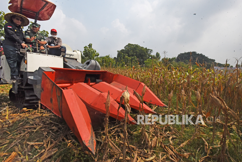 Wakil Menteri Pertanian Harvick Hasnul Qolbi (kiri), bersama Pangdam III/Siliwangi Mayjen TNI Kunto Arief Wibowo (kedua kiri), memanen jagung menggunakan mesin panen jagung otomatis (corn harvester) di area tani Masyarakat Agribisnis Jagung (MAJ) di Kampung Curug Manis, Serang, Banten. Badan Pusat Statistik (BPS) mencatat nilai ekspor pertanian Indonesia pada Oktober 2022 ini mengalami peningkatan sebesar 430 juta dolar AS atau meningkat 3,7 persen mtm dibandingkan bulan sebelumnya. Peningkatan itu didorong oleh ekspor komoditas hasil hutan bukan kayu seperti jagung dan sayur-sayuran.