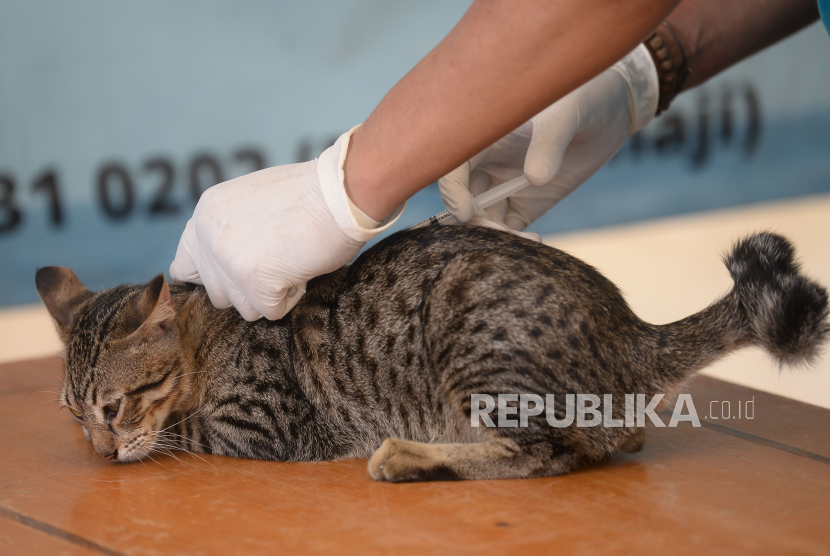 Kota Tangerang memiliki klinik hewan di kawasan Suka Asih. Klinik Hewan saat ini melayani pemberian obat anti parasit, suntik vitamin, infus, vaksinasi rabies secara cuma-cuma.