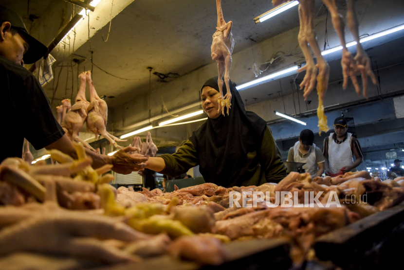 Pembeli memilih daging ayam di salah satu kios. Dirut Dharma Jaya mengeklaim daging yang dikirim ke Jakarta aman dari PMK.