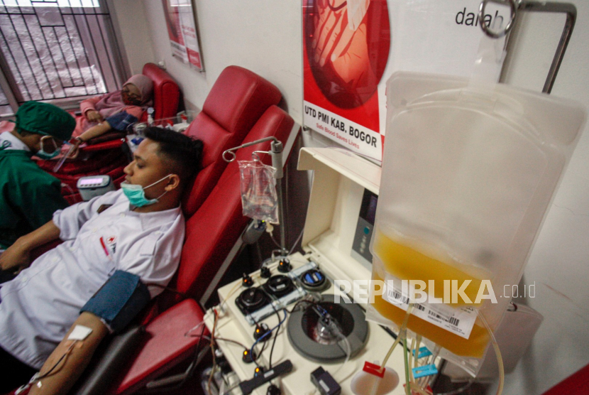 Pendonor darah apheresis di Palang Merah Indonesia (PMI), Cibinong, Kabupaten Bogor, Jawa Barat, Kamis (17/9/2020). Sebanyak 32 Unit Donor Darah (UDD) Palang Merah Indonesia (PMI) yang tersebar di berbagai daerah Tanah Air saat ini telah memiliki mesin apheresis untuk membantu penyediaan plasma konvalesen bagi pasien Covid-19. 