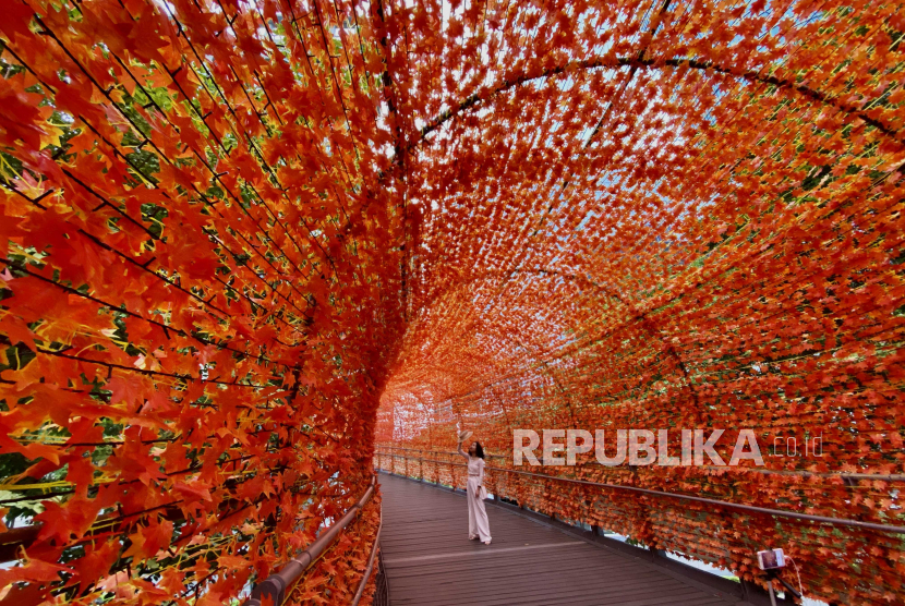  Orang-orang mengambil foto saat mereka berjalan di bawah hiasan dedaunan musim gugur di jembatan kaki di kota New Taipei, Taiwan, 10 November 2020. Desainnya bertujuan untuk memberi orang perasaan musim gugur dan kenikmatan saat melewati jembatan kaki. Lima Cara Agar Merasa Cukup dengan Hidup Kita