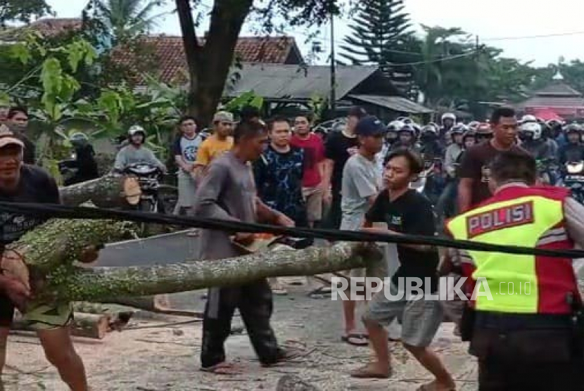 Petugas dibantu warga mengevakuasi bagian pohon yang tumbang di ruas jalan Jamanis-Ciawi, Kecamatan Jamanis, Kabupaten Tasikmalaya, Jawa Barat, Rabu (26/4/2023). 