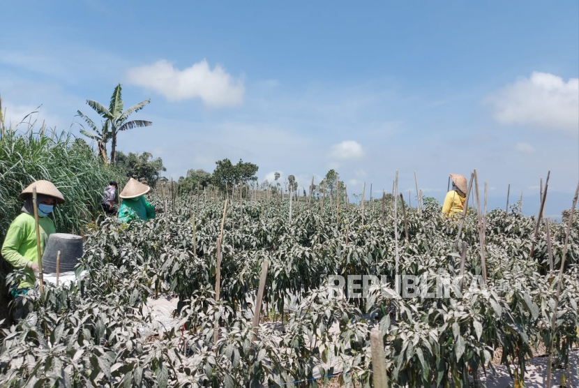 Dampak erupsi gunung Merapi –sejak Sabtu (11/3) siang-- telah mengakibatkan hujan abu vulkanis di sejumlah lokasi wilayah di Kabupaten Magelang. TWC sebut Candi Borobudur tidak terkena imbas dari hujan abu erupsi Merapi.