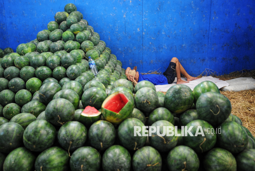 Buah semangka. Setidaknya ada empat buah yang dipercaya dapat menurunkan risiko kanker usus, salah satunya semangka.