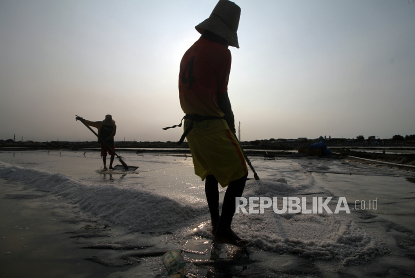 Petani memanen garam di tambak kawasan panggungrejo, Pasuruan, Jawa Timur, Selasa (11/7/2023). Produksi garam yang dijual dengan harga Rp200.000 per 55 kg tersebut mengalami keterlambatan akibat cuaca yang tidak menentu beberapa waktu yang lalu. .