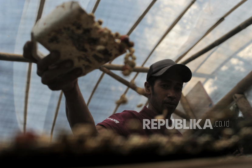 Pasar Petani Garuda: Strategi Pemkab Bogor Perkuat Perlindungan Petani dan Ketahanan Pangan