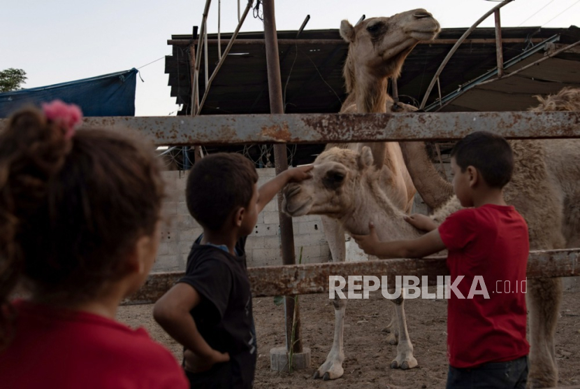 Anak-anak berdiri di samping ternak di sebuah gudang kamp pengungsi Khan Yunis, Jalur Gaza Selatan, 14 Juni 2024. Di tengah konflik Israel-Palestina yang sedang berlangsung, kenaikan dan tingginya harga ternak mempersulit masyarakat di Gaza untuk membeli hewan kurban pada Idul Adha. 