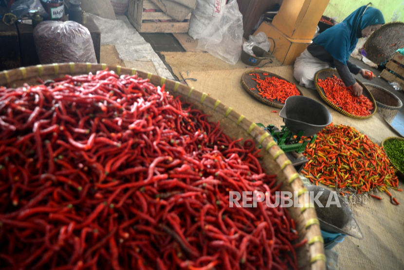 Pedagang memilah cabai rawit di Pasar Beringharjo, Yogyakarta, Jumat (17/11/2023). Kenaikan harga cabai dan Bawang Merah jadi salah satu penyebab inflasi.