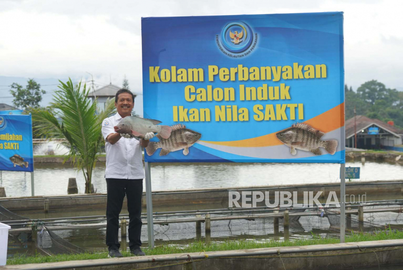 Menteri Kelautan dan Perikanan (KKP) Sakti Wahyu Trenggono memperlihatkan jenis ikan Nila di Balai Besar Perikanan Budidaya Air Tawar (BBPBAT) Kota Sukabumi, Jumat (14/4/2023) sore.