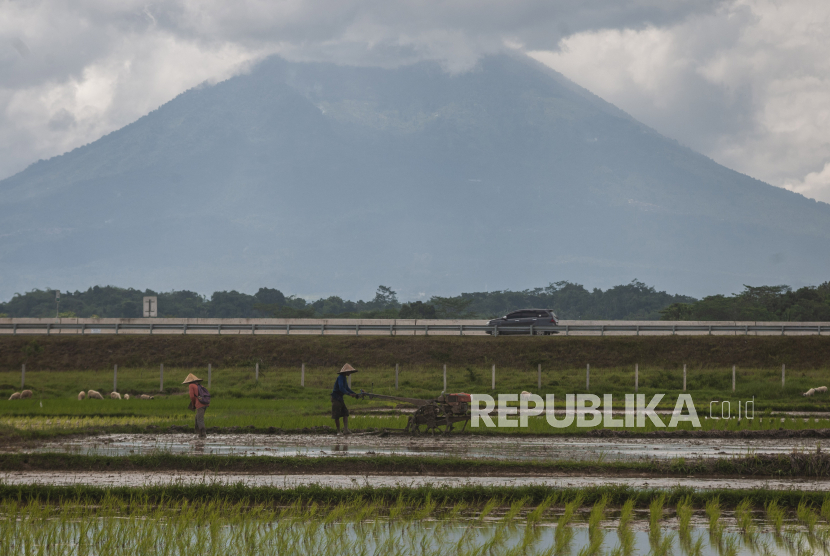 Petani membajak sawah di Cibadak, Kabupaten Lebak, Provinsi Banten, Senin (24/1/2022).