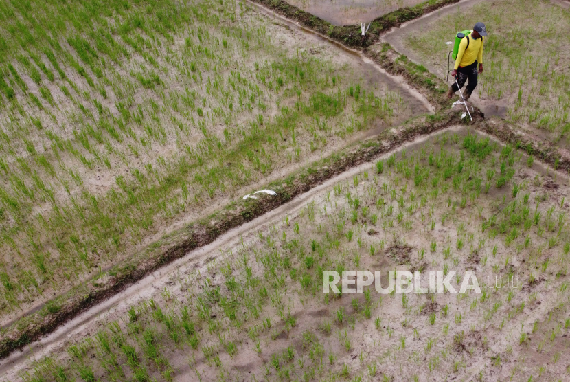 Anggota holding PT Pupuk Indonesia (Persero), PT Pupuk Kujang Cikampek memastikan stok pupuk bersubsidi di Karawang aman untuk musim tanam Oktober hingga Maret. 