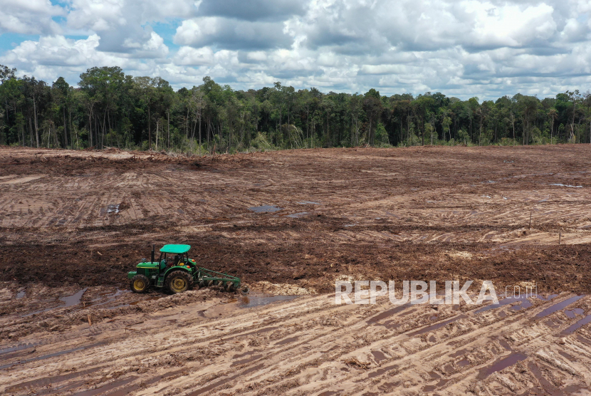 Pekerja menggunakan traktor saat mengolah tanah untuk tanaman singkong di areal lumbung pangan nasional food estate di Tewai Baru, Kabupaten Gunung Mas, Kalimantan Tengah, Sabtu (6/3/2022).. 