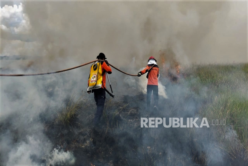 Tim SAR berusaha memadamkan api yang membakar lahan di Indragiri Hilir, Riau.(ilustrasi)