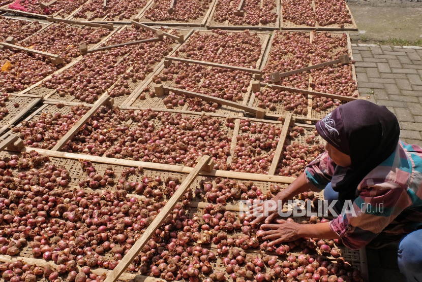Pekerja menjemur bawang merah (ilustrasi). Harga bawang merah antarpulau di Jayapura mengalami kenaikan tajam hingga mencapai Rp 80.000/kg.