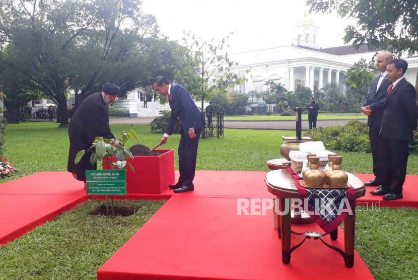 Presiden Jokowi dan Presiden Republik Islam Iran Seyed Ebrahim Raisi bersama-sama menanam pohon kayu ulin di Istana Kepresidenan Bogor, Selasa (23/5).