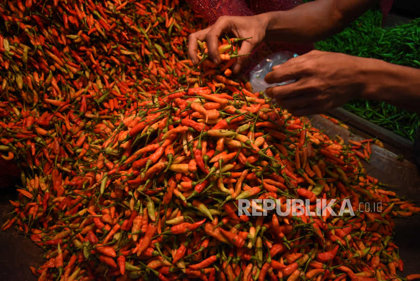 Pedagang memilah cabai yang akan dijual di pasar (ilustrasi). Badan Pusat Statistik (BPS) Jawa Timur mencatat, inflasi tahun kalender 2020 Jatim sebesar 1,44 persen yang salah satu penyumbangnya adalah kelompok makanan, minuman, dan tembakau.
