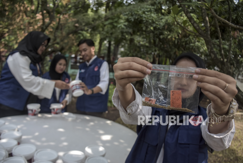Petugas dari Dinas Kesehatan (Dinkes) Kota Bandung menunjukkan pakan dan telur nyamuk yang sudah disuntikkan bakteri Wolbachia di Kantor Dinkes Kota Bandung, Bandung, Jawa Barat, Senin (13/11/2023). 