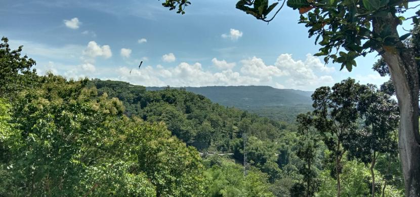 Ungkap Rasa Cinta, Guru MTsN 3 Bantul Suguhkan Karya 