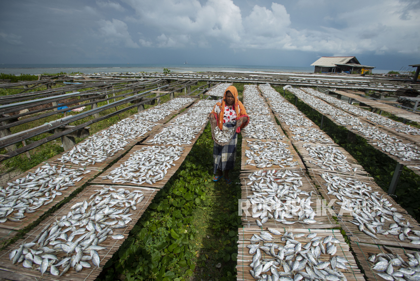 Warga menjemur ikan selar untuk diproses menjadi produk ikan asin di Pulau Sabira, Kabupaten Kepulauan Seribu, DKI Jakarta, Kamis (17/6/2021). Produsen ikan asin setempat mengalami penurunan produksi lebih dari 50 persen sejak April 2021 karena pasokan dari nelayan menurun drastis akibat gelombang laut tinggi yang dipicu angin musim timur. 