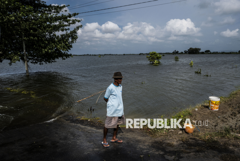 1.970 Hektar Lahan Sawah di Kudus Terendam Banjir, Petani Terancam Gagal Panen