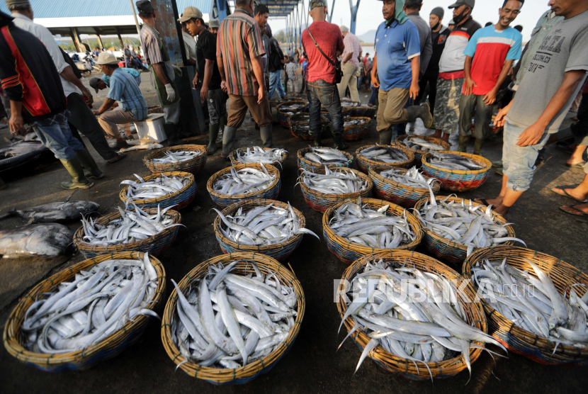  Nelayan mengangkut ikan di pasar ikan tradisional (ilustrasi). Pemerintah Kota (Pemkot) Solo, Jawa Tengah mengaktifkan kembali Pasar Ikan Balekambang mulai Rabu (3/2) malam.