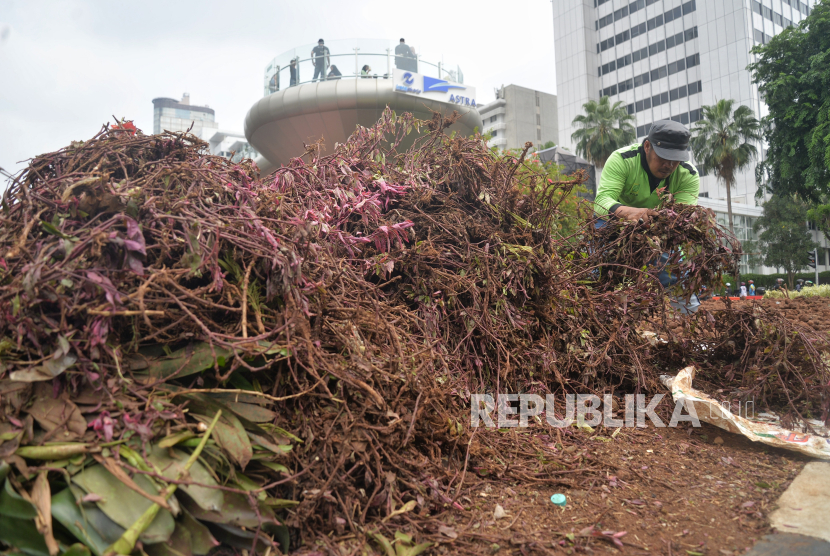 Petugas Dinas Pertamanan dan Hutan Kota Provinsi DKI Jakarta menaikan tanaman hias yang rusak ke truk. Wakil Ketua DPRD DKI minta Pemprov mengevaluasi perayaan malam tahun baru.