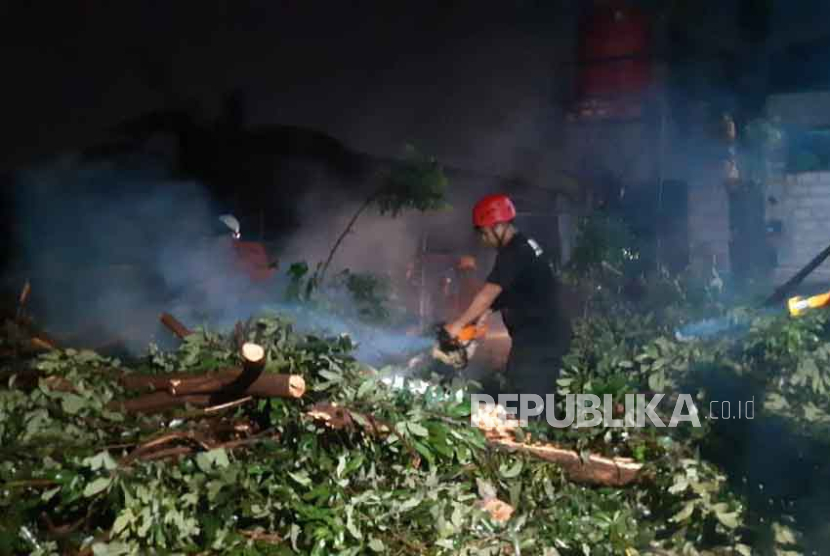 Petugas BPBD Kota Bogor menangani pohon tumbang terdampak angin kencang di Kota Bogor, Jawa Barat, Selasa (31/10/2023). 