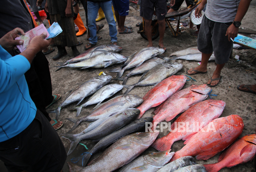 Pedagang ikan melayani pembeli di tempat pelelangan ikan (ilustrasi). Produksi ikan hasil tangkapan nelayan yang melakukan pembongkaran di Pelabuhan Perikanan Nusantara (PPN) Sungailiat Bangka Provinsi Kepulauan Bangka Belitung ditargetkan mencapai nilai Rp 123 miliar atau 4.954 ton pada 2022.