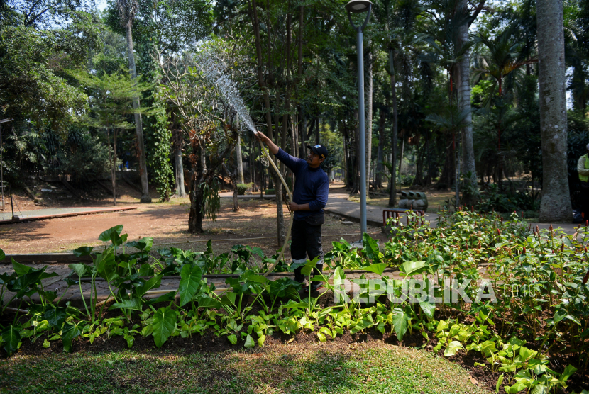 Petugas menyiram tanaman di Taman Langsat, Jakarta Selatan, Senin (11/9/2023). 