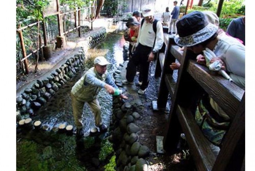 12 tempat gratis dan bebas biaya masuk di Tokyo, Masugata-no-ike Springs