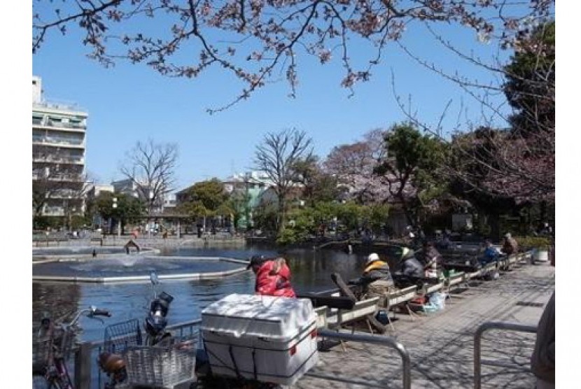 12 tempat gratis dan bebas biaya masuk di Tokyo, kolam pancing Shimizu-ike Municipal Park