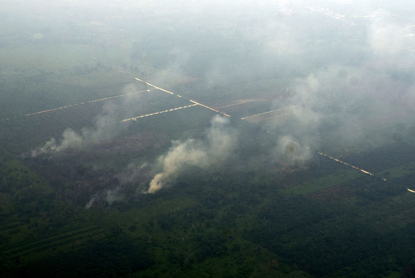   Asap yang disebabkan titik api terlihat di sebuah lahan kawasan Riau, Rabu (17/9).  (Antara/Wahyu Putro)