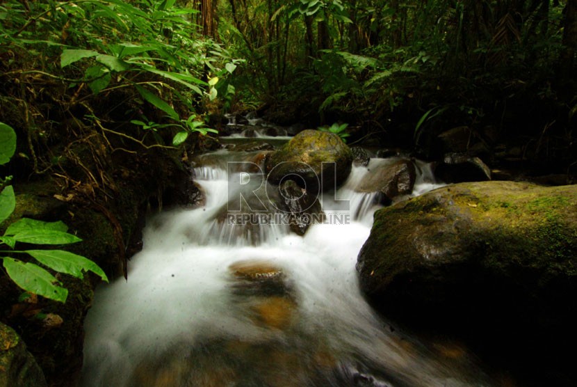 Suasana kawasan wisata Air Terjun Cibeureum di Taman Nasional Gunung Gede Pangrango, Bogor.