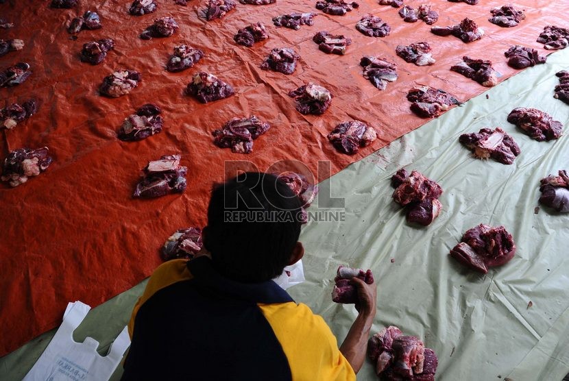 Ilustrasi. Warga Kabupaten Bekasi, Jawa Barat, diimbau memeriksa kelengkapan dokumen kesehatan sebelum membeli hewan kurban untuk memastikan hewan dalam kondisi sehat serta terbebas dari penyakit kuku dan mulut (PMK).