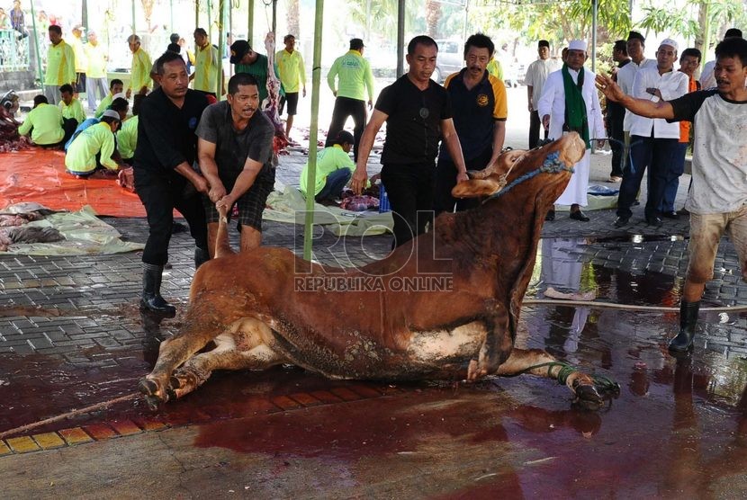  Petugas mengerjakan proses pemotongan hewan kurban di Masjid Al Barkah, Bekasi, Jawa Barat, Ahad (5/10).  (Republika/Tahta Aidilla)