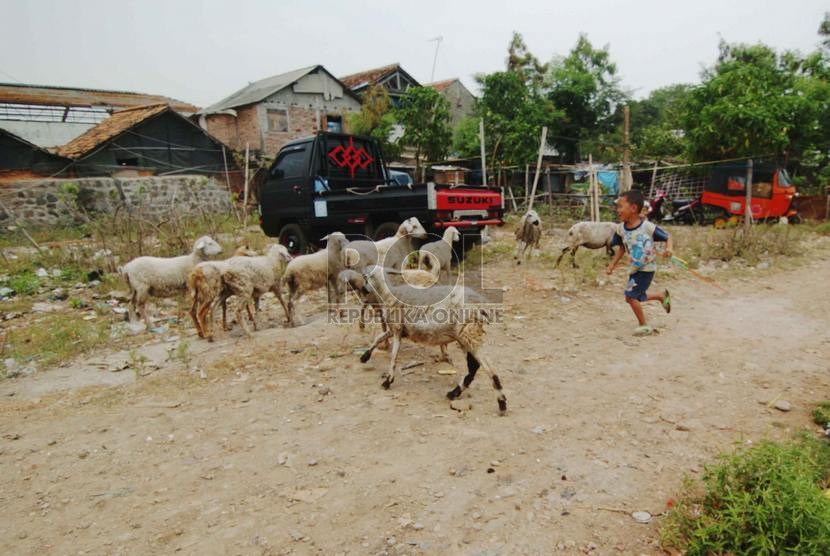  Sejumlah anak bermain di kawasan kumuh pesisir pantai Jakarta Kawasan Koja, Jakarta Utara, Rabu (8/10).  (Republika/Raisan Al Farisi)