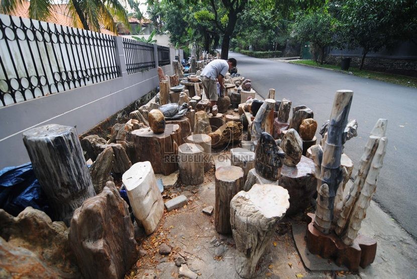 Pedagang fosil kayu, Wawan (31) menjajakan dagangannya di kawasan Kemang Dalam, Jakarta Selatan, Senin (3/11).   (Republika/Raisan Al Farisi)