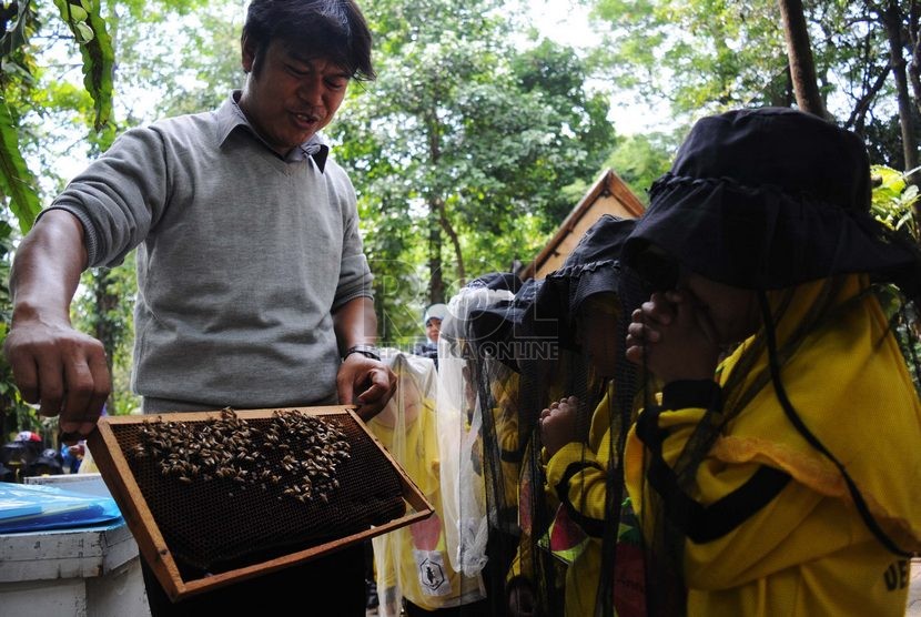  Sejumlah siswa TKIT Ibnu Mas'ud Depok mengamati sebuah sarang lebah saat melakukan Field Trip di Taman Wisata Lebah Madu Pramuka, Cibubur, Jakarta Timur, Kamis (13/11). (Republika/Rakhmawaty La'lang)