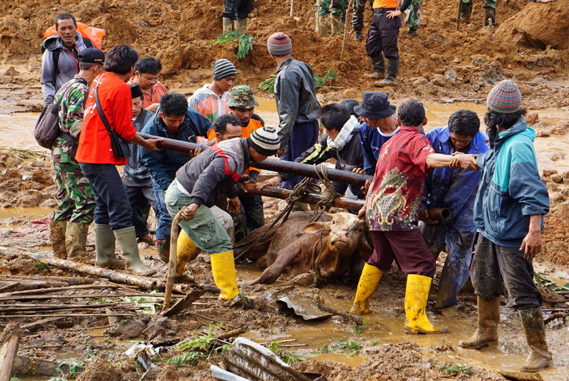 Landslides in Banjarnegara (Antara/Idhad Zakaria)