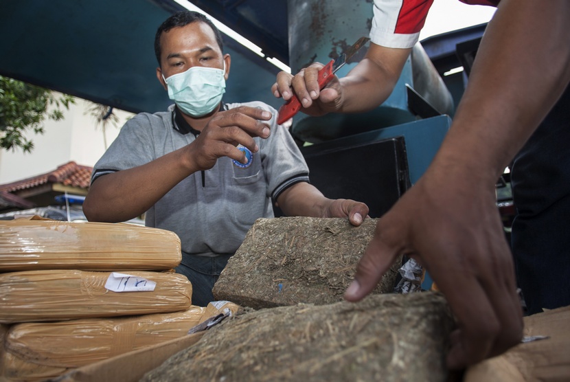  Petugas Badan Narkotika Nasional (BNN) bersiap memusnahkan barang bukti ganja dan sabu-sabu yang berhasil disita di Kantor BNN, Jakarta Timur, Jumat (16/1).   (Antara/Sigid Kurniawan)
