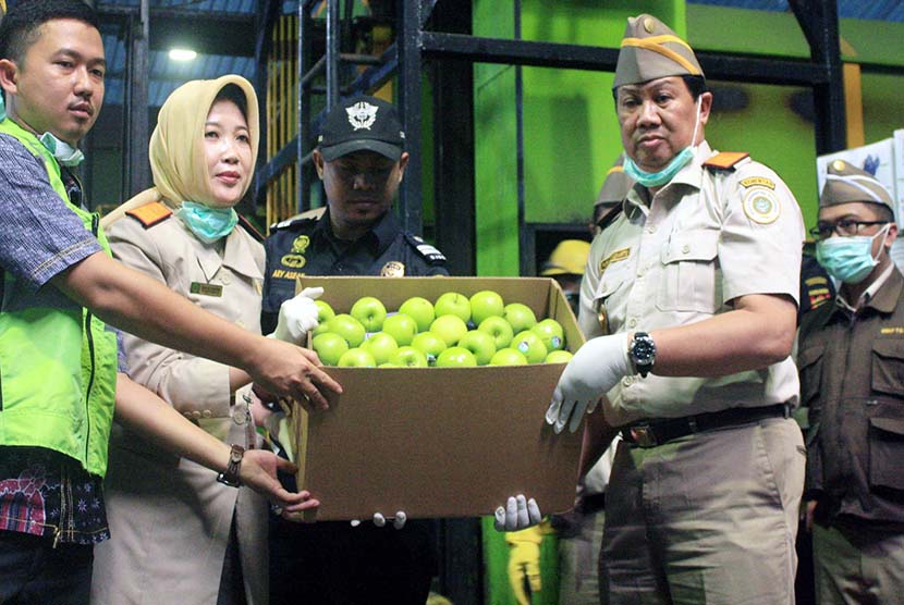 Petugas Badan Karantina Kementerian Pertanian menunjukkan buah apel segar asal Amerika Serikat yang akan dimusnahkan di salah satu pabrik pengolahan dan pemanfaatan limbah B-3 di Karawang, Jabar, Jumat (6/3).   (Antara/M.Ali Khumaini)