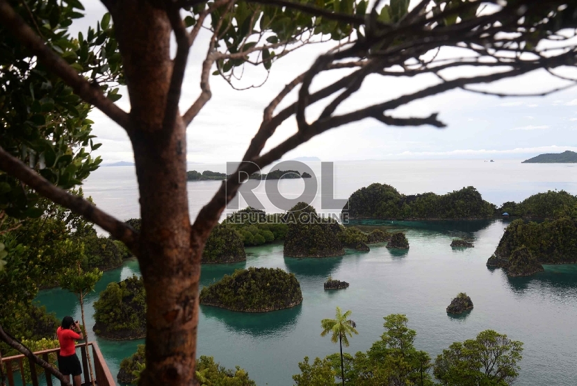 Wisatawan memotret kawasan wisata Piaynemo di Raja Ampat, Papua Barat.  (Republika/Yasin Habibi)