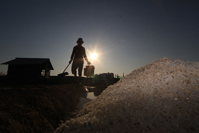 Pekerja memanen garam di desa Santing, Kecamatan Losarang, Indramayu, Jawa Barat, Senin (22/6).  (Antara/Dedhez Anggara)