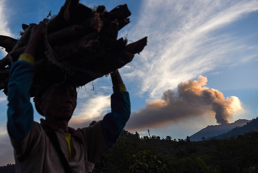  Warga mengangkat kayu bakar dengan latar belakang Gunung Raung mengeluarkan awan panas di Desa Melaten, Bondowoso, Jawa Timur, Ahad (12/7).   (Antara/Zabur Karuru)