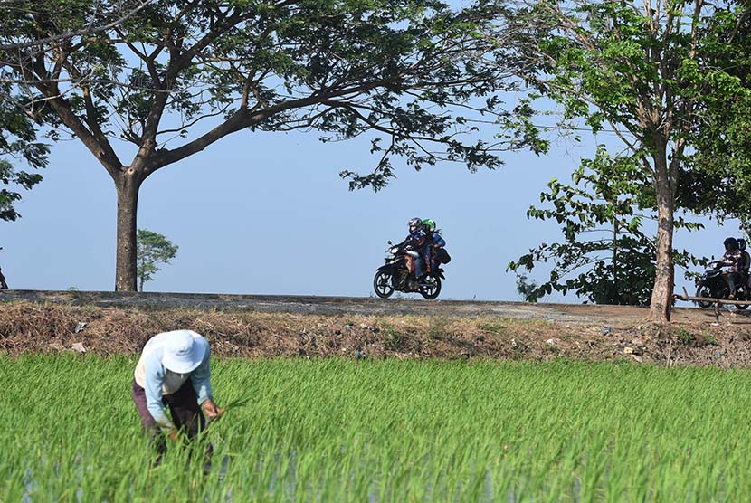 Pemudik yang menggunakan sepeda motor melintas didaerah Lemahabang Wadas, Karawang, Jawa Barat, Senin (13/7).   (Antara/Hafidz Mubarak)