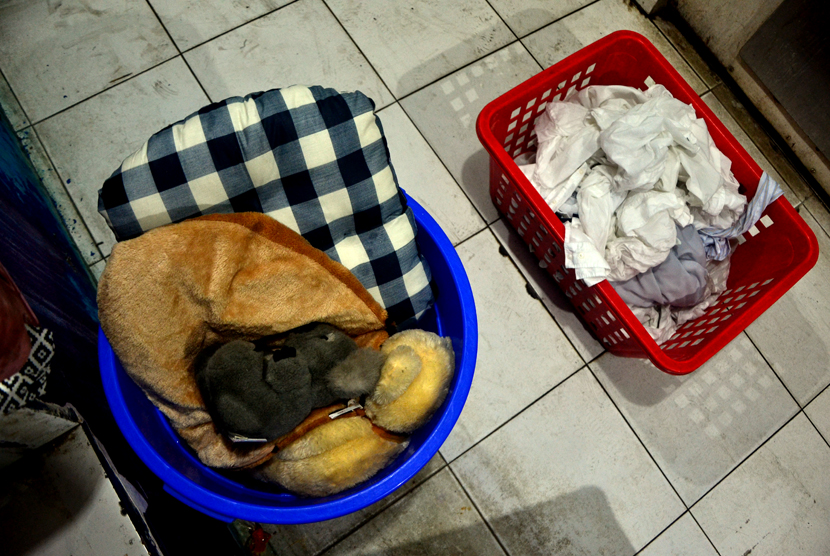   Tumpukan pakaian kotor milik konsumen di toko penyedia jasa laundry.  (foto : MgROL_45)