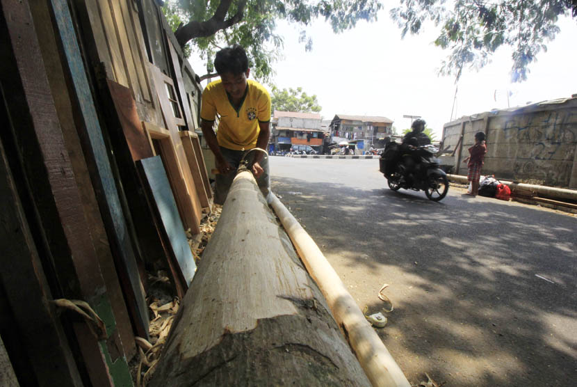  Penjual pohon panjat pinang di kawasan Manggarai, Jakarta Selatan, Kamis (6/8).   (foto ; MgROL_46)
