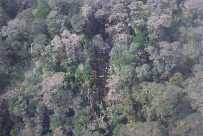  Foto yang dirilis oleh Badan SAR Nasional (Basarnas), memperlihatkan puing pesawat Trigana Air yang hilang kontak di kawasan Oksibil,Papua, Senin (17/8).    (AP/Basarnas)