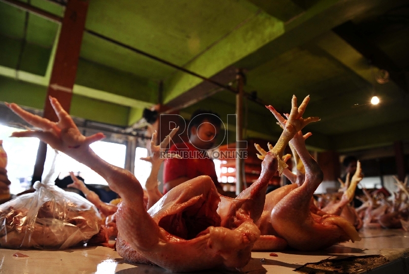 Pedagang sedang menjual ayam potong di pasar Kramat Jati, Jakarta.   (Republika/Tahta Aidilla)